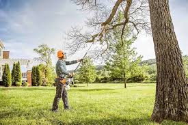 Best Lawn Pest Prevention  in Greenfield, IL